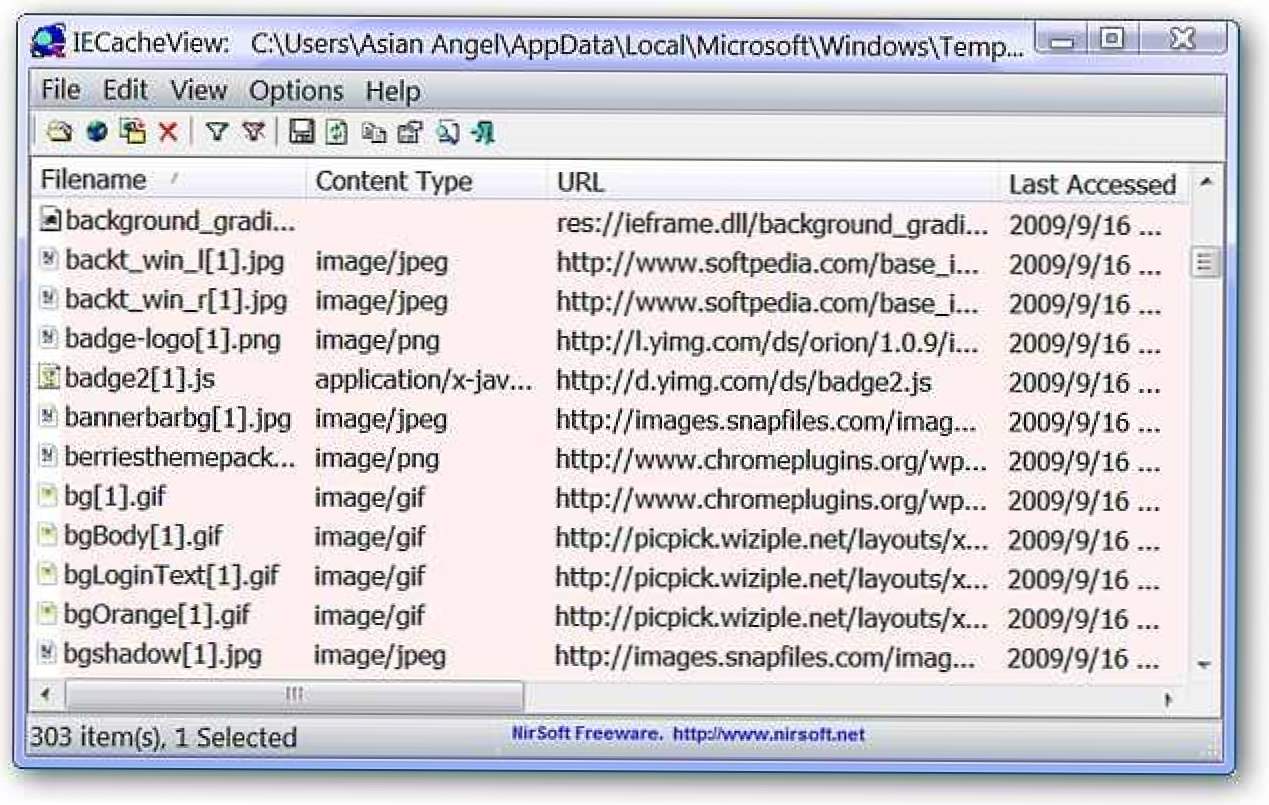 Vizualizați fișierele cache-ului Internet Explorer în modul ușor (Cum să)