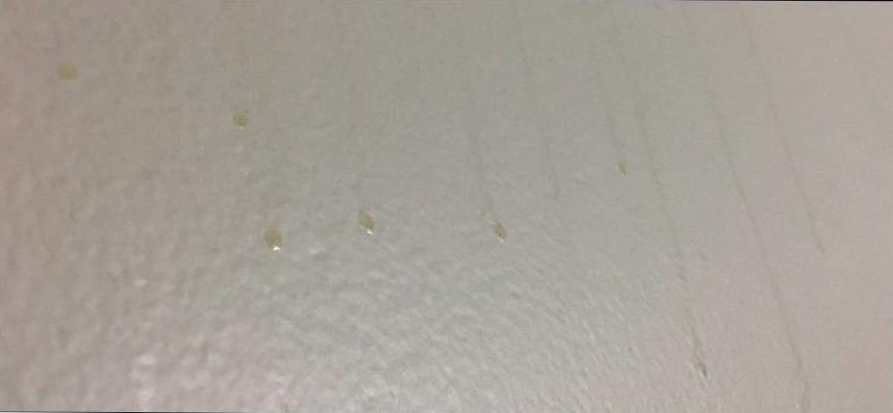 Koje su ove bruto smeđe mrlje na zidovima kupaonice? (Kako da)