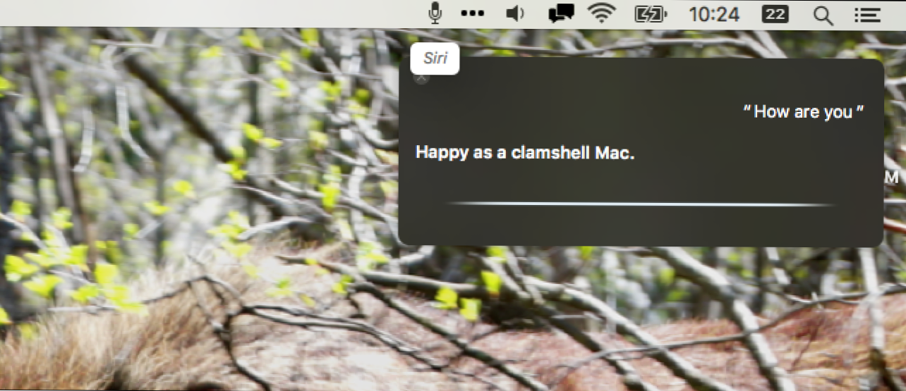 Как да използвате "Hey Siri", за да стартирате Siri на вашия Mac (Как да)