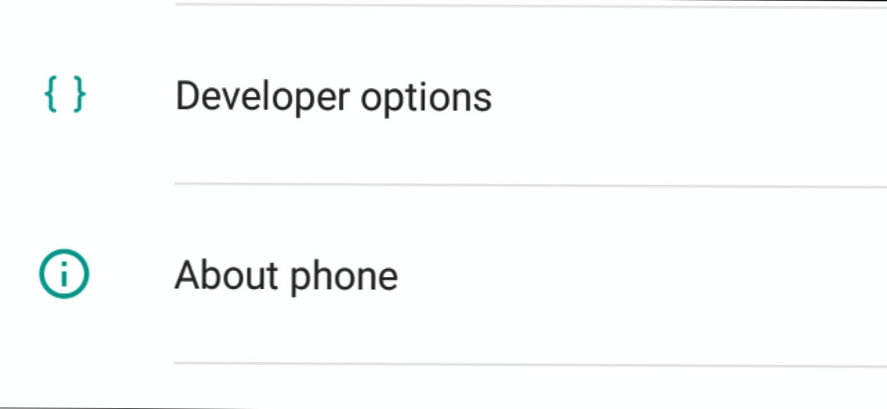 Developer options на русском