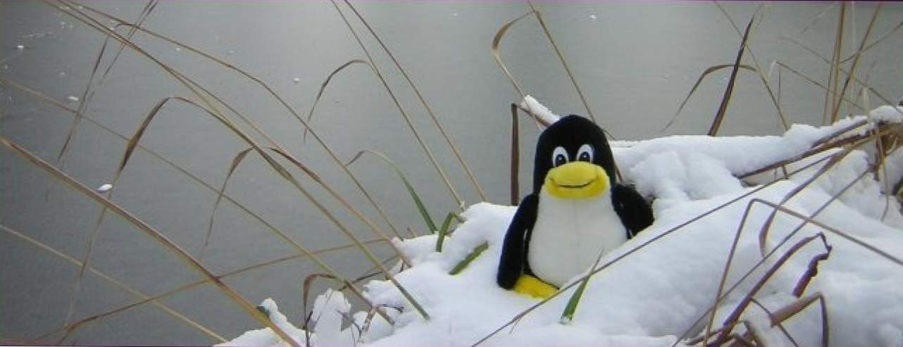 4 sposoby na odzyskanie z serwera Crashhed lub Frozen X w systemie Linux (Jak)